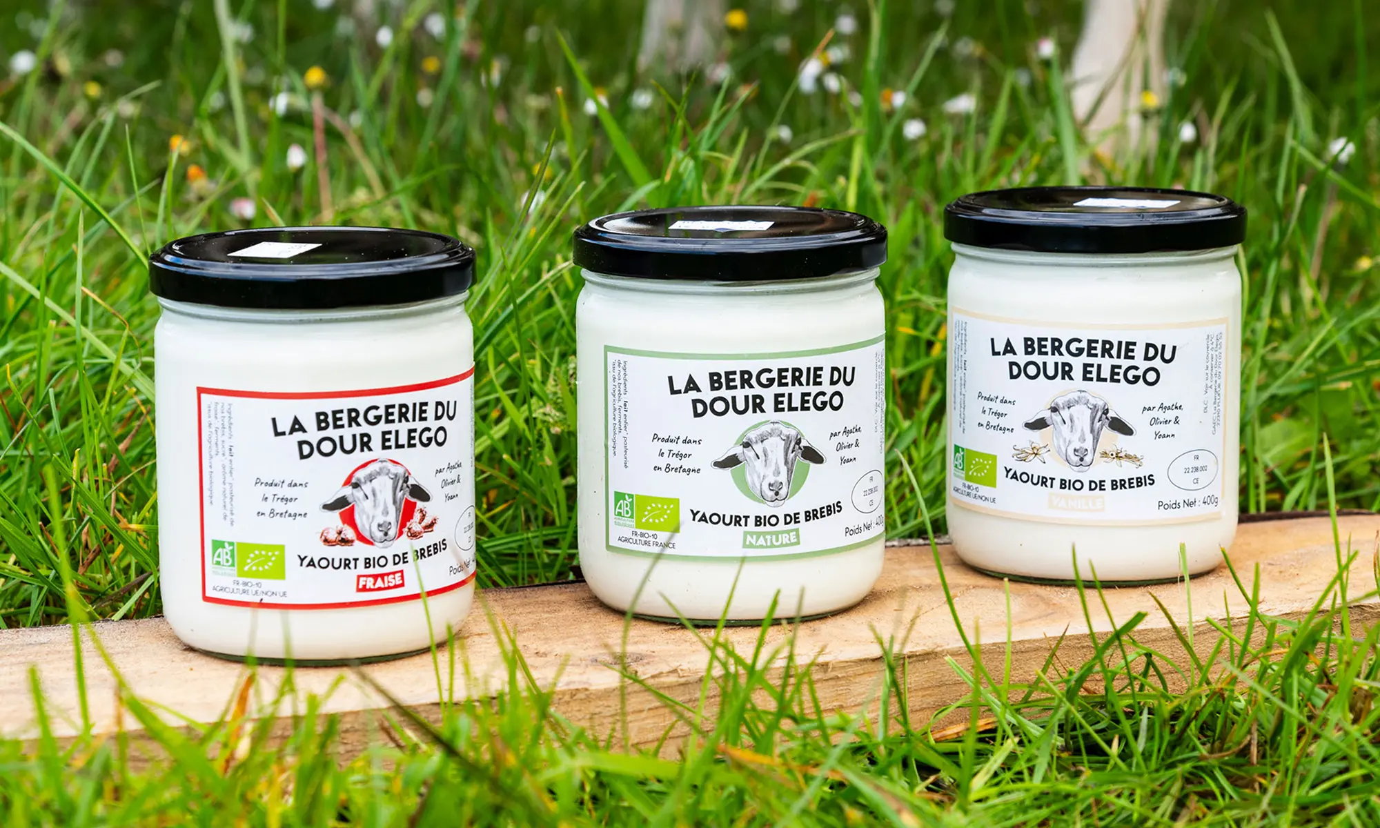 vignette bergerie dour elego